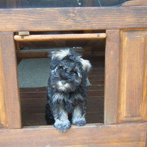 Meet your Posher, Charlotte